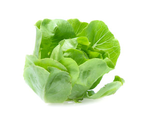 Green oak lettuce on white background