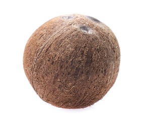 coconuts isolated on  white background
