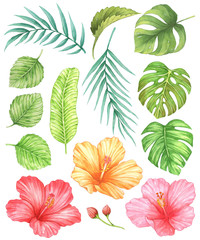 Red, pink, yellow hibiscus and tropical leaves watercolor isolated on white background.  Monstera, Coconut leaf, Banana leaf, Hand drawn nature illustration.