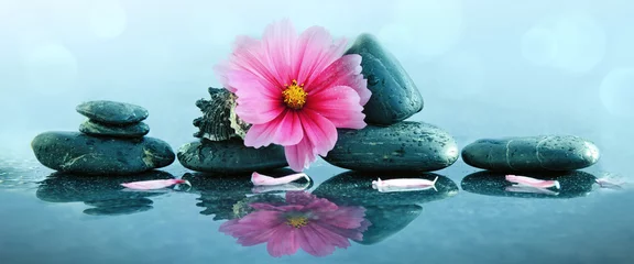 Foto auf Leinwand Rosafarbene Orchideenblüte und Spa-Steine mit Wassertropfen isoliert. © Swetlana Wall