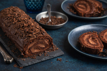 delicious chocolate roll cake with chocolate cream on blue plate