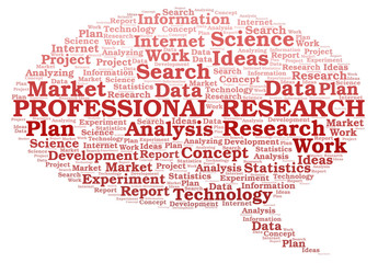 Professional Research word cloud.