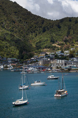 Queen Charlotte Sound New Zealand. Picton harbour