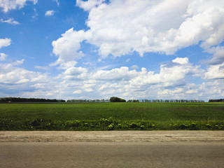 Fototapeta na wymiar beautiful landscape of a rural road, wheat field and blue sky