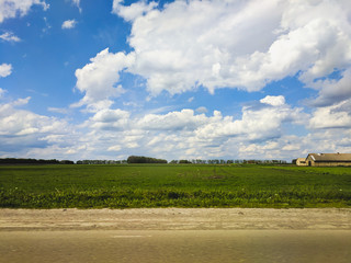  beautiful landscape of a rural road, wheat field and blue sky