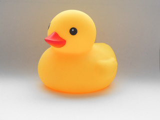 yellow rubber duck isolated on white background
