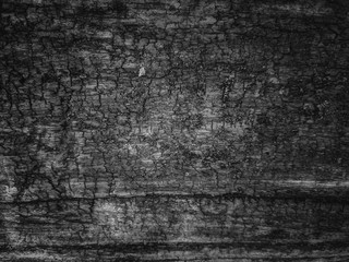 beautiful textured photo background of an old cracked natural wood board