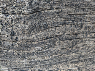 beautiful textured photo background of an old cracked natural wood board