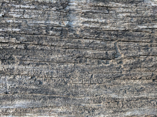 beautiful textured photo background of an old cracked natural wood board