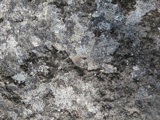 Grunge background texture of natural stone