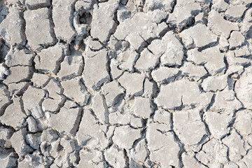 Dry soil cracked