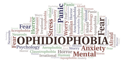 Ophidiophobia word cloud.