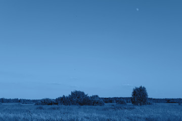 Picturesque and peaceful landscape of a meadow, a forest and the moon in the day sky in the trendy classic blue color of the year.