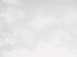 abstract shadow of the leaves on a white wall background