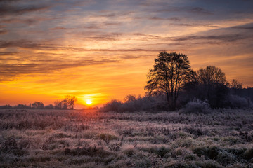 Sunrise over the meadow in Oborskie Meadows, Konstancin Jeziorna, Poland