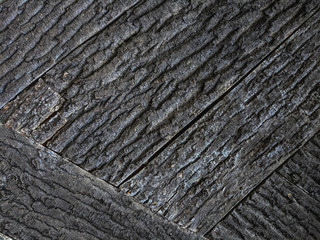 Atmospheric texture of natural wood bark