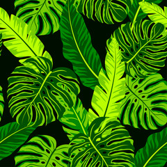 Fototapeta na wymiar Tropical seamless pattern. Monstera and tropical plants on a dark background. Abstract seamless pattern with leaves. Exotic wallpaper, Hawaiian style. Jungle leaves.