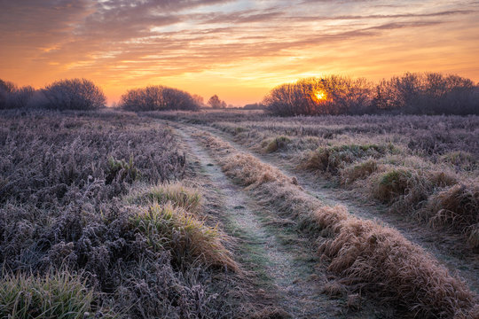 Road during a frosty morning in Oborskie Meadows, Konstancin Jeziorna, Poland