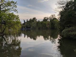 beautiful lake in a village near a pine forest