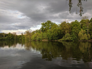 beautiful lake in a village near a pine forest
