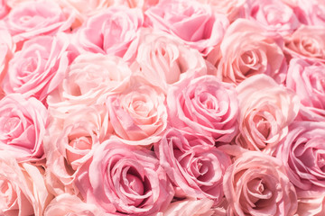 Selective focus Beautiful Pink flowers background. Abstract soft sweet pink flower background .Beautiful pink roses flower blossom flower background design floral. Valentine ’s Day background