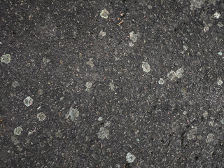 Grunge background texture of natural stone
