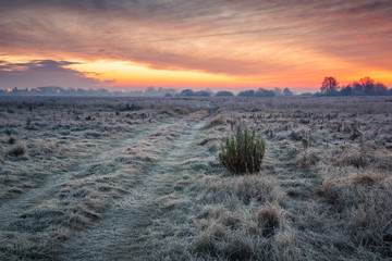 Road during a frosty morning in Oborskie Meadows, Konstancin Jeziorna, Poland