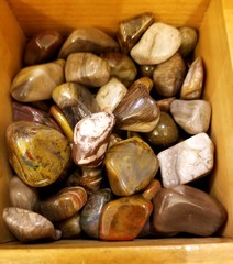 A pile of beautiful Petrified Wood Arizona stones