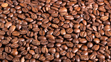 Texture of coffee seeds, selective focus, close-up