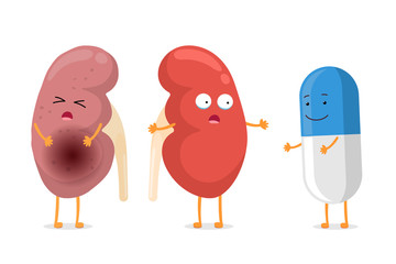 Sad suffering sick and cute healthy amazement kidney with drug medicine pill characters. Human anatomy genitourinary system internal unhealthy and strong organs. Vector cartoon illustration