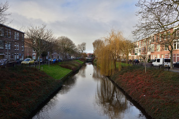 Fototapeta na wymiar Drzewa i samochody nad holenderskim kanałem w Hadze w słoneczny dzień.