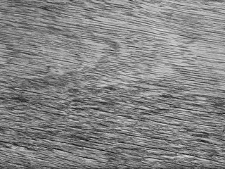 old gray wood texture
