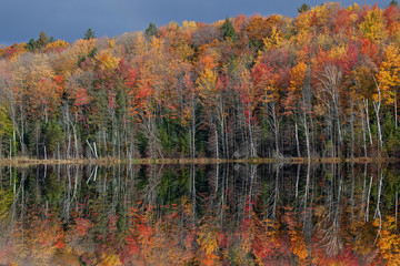 Autumn landscape of Scout Lake with mirrored reflections in calm water, Hiawatha National Forest, Michigan's Upper Peninsula, USA