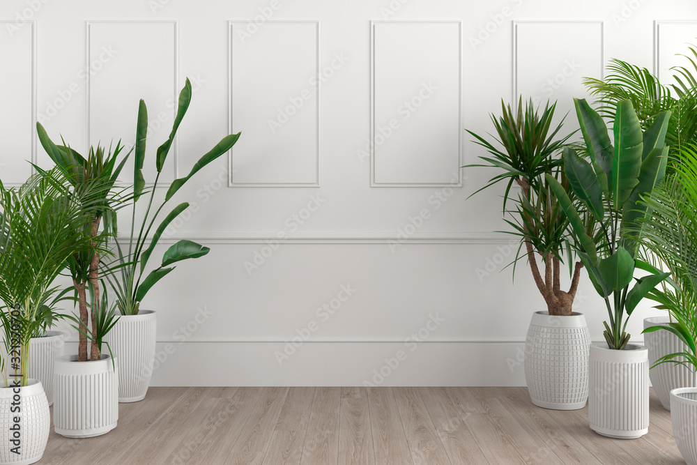 Wall mural 3D render Interior central copy space and plants