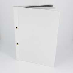 Corporate file folder in white with gold rivets