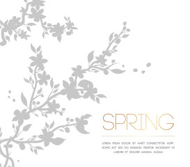 "Spring"- elegance greeting card design. Vector illustration of decorative sakura brunch silhouette on white background. © Sergj