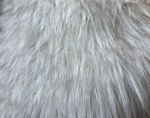 Natural fur luxury texture, background. Fashion pattern modern, backdrop surface photo empty
