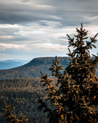 Wandern in der Sächsischen Schweiz
