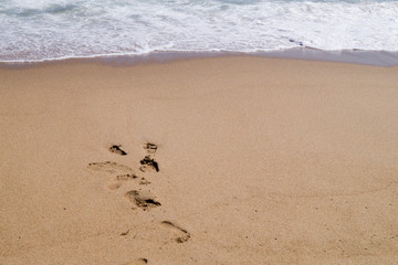 footprints on a sandy beach near the sea