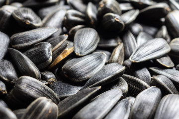 texture of sunflower seeds