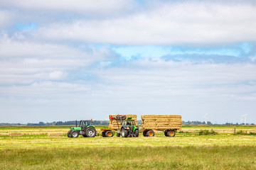 Obraz premium Harvesting silage bales of compacted grass stacked on a trailer by a tractor in agricultural field with a blue sky