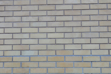 Natural, background. The wall is brick. Yellow brick. Close-up