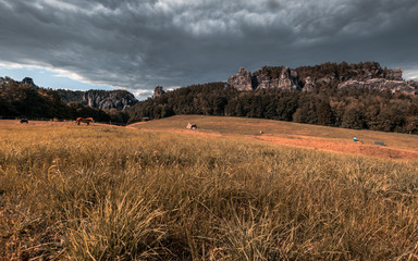 Wanderung in Rathen zur Bastei Sächsische Schweiz