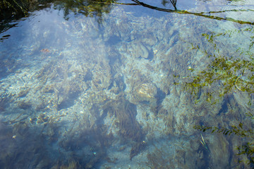 Water surface, blue lake, Zyangyear Kul. Scenic view of nature in Russia, Republic of Bashkortostan