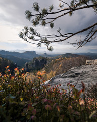 Wanderung durch die Sächsische Schweiz