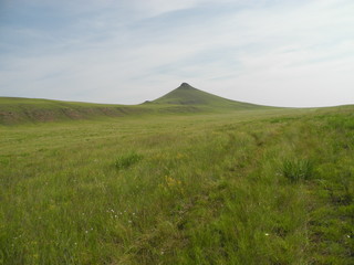 Fototapeta premium green field and blue sky