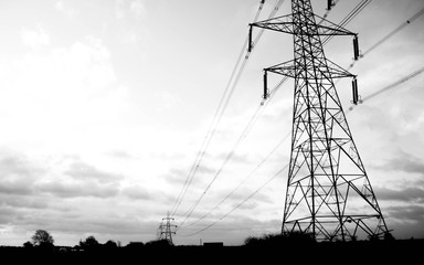 Electric Distribution Lines