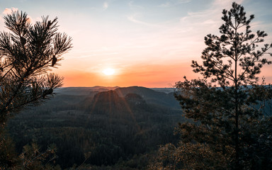 Wanderung im Kirnitzschtal Sächsische Schweiz