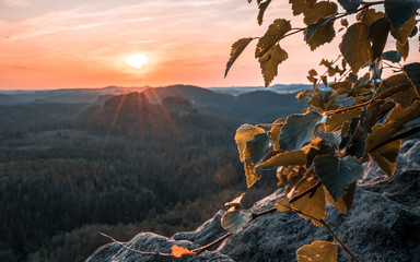 Wanderung im Kirnitzschtal Sächsische Schweiz