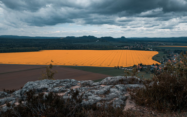 Wanderung zum Zirkelstein Sächsische Schweiz